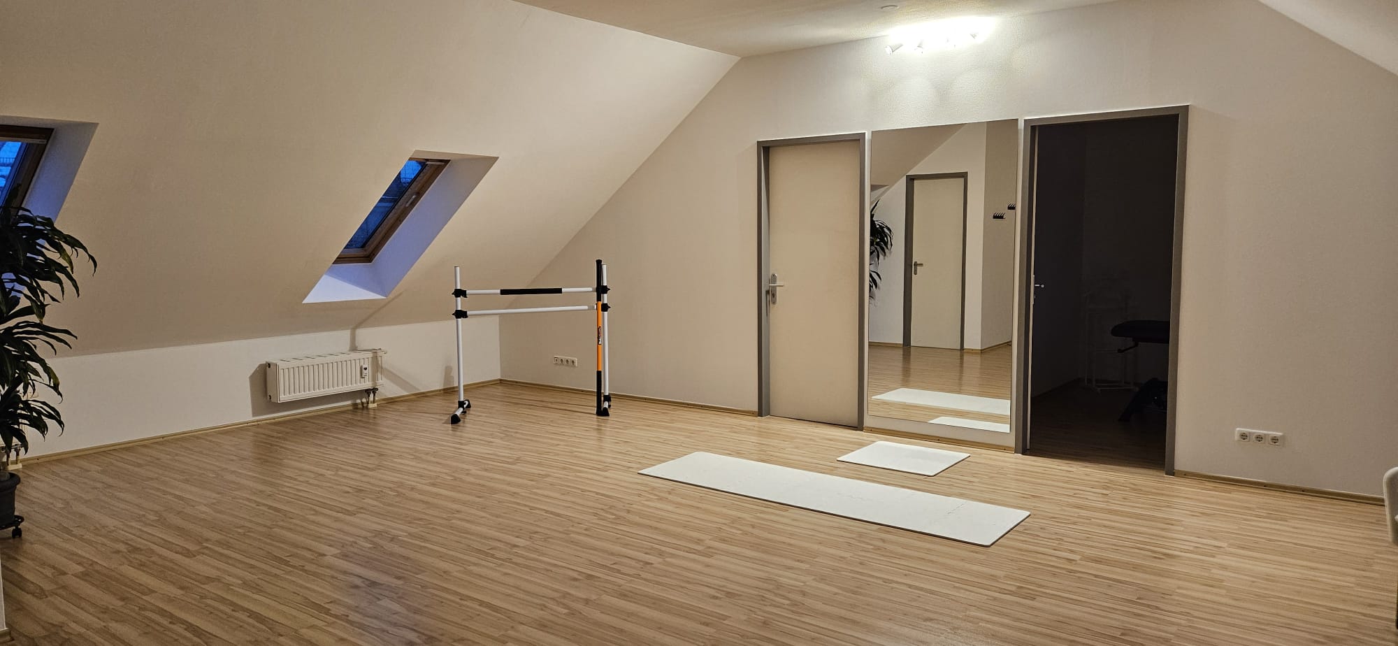 Physiotherapie Praxis 2