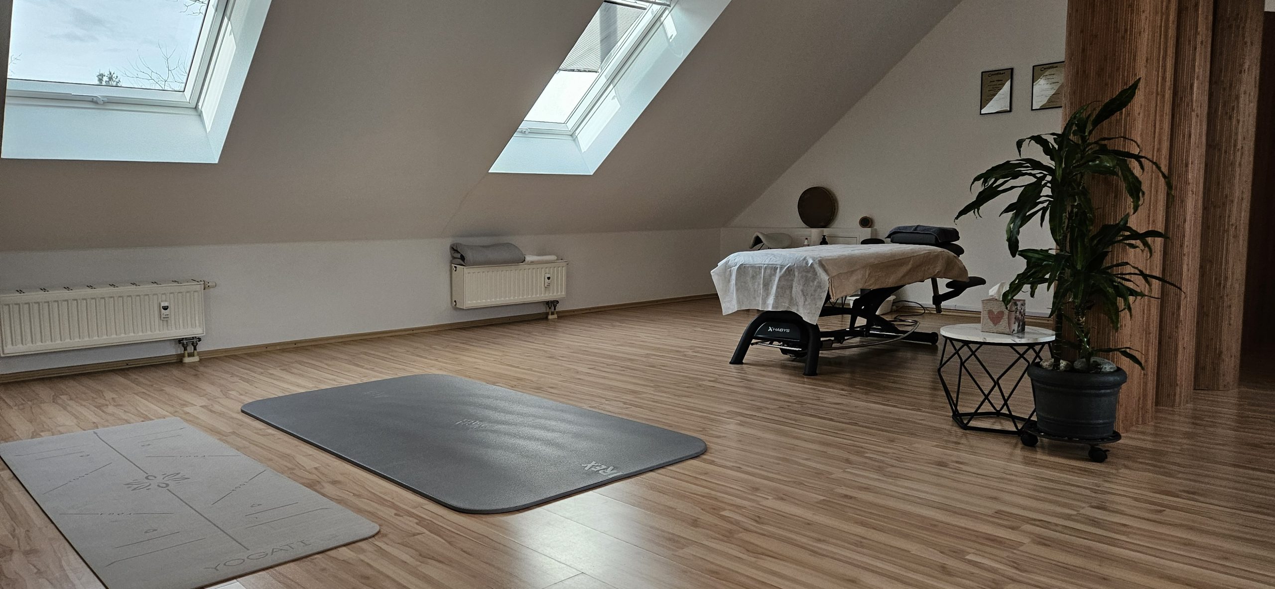 Physiotherapie Behandlungsliege